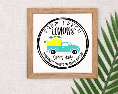 Lemon Quotes SVG Bundle, 6 Designs, Lemon Sayings SVG, Funny Lemon SVG, When Life Gives You Lemons Add Salt And Tequila SVG, Hello Summer SVG SVG HappyDesignStudio 