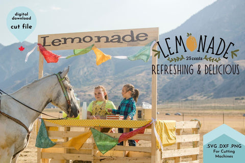 Lemonade Summer SVG Cut File SVG Lettershapes 