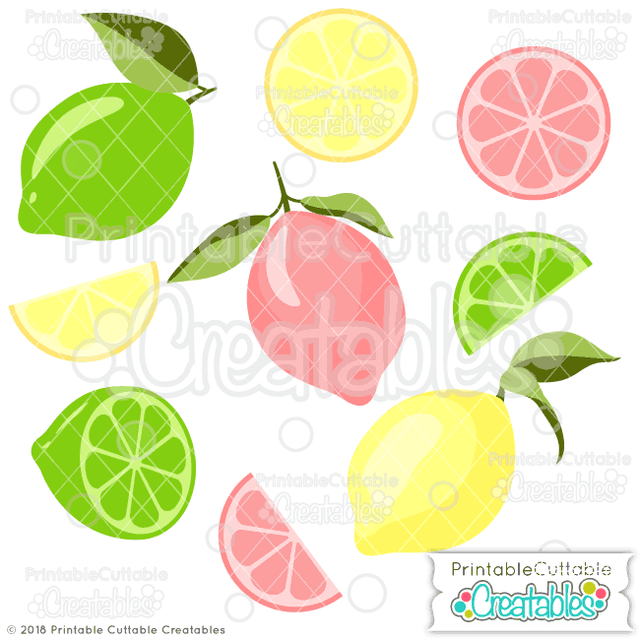 Lemons and Limes Set SVG Printable Cuttable Creatables