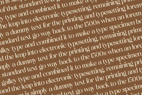 Lemosty Typeface Font Storytype Studio 