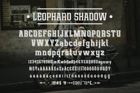 Leophard Font Arterfak Project 