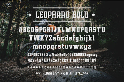 Leophard Font Arterfak Project 