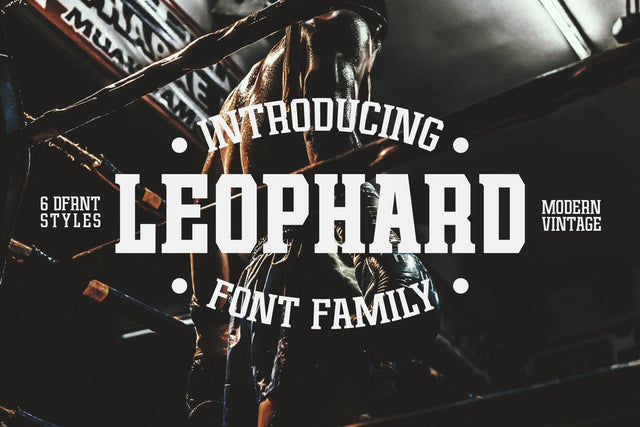 Leophard Font Arterfak Project 
