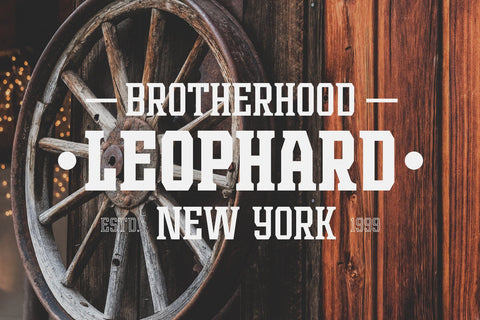 Leophard Font Arterfak Project 