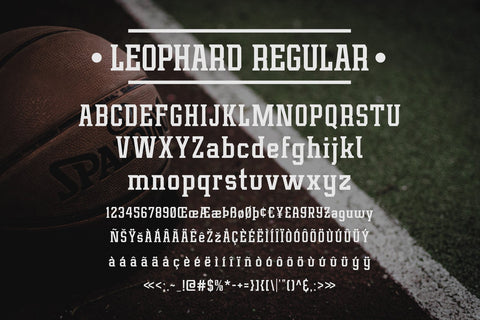 Leophard Font Arterfak Project 