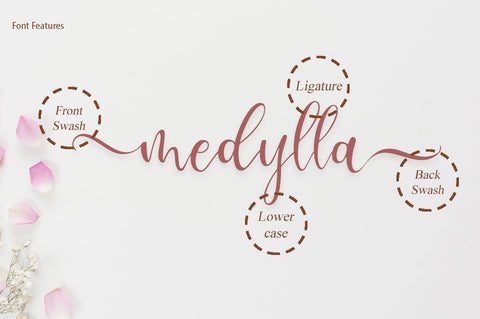 lesley script Font Anastasia 