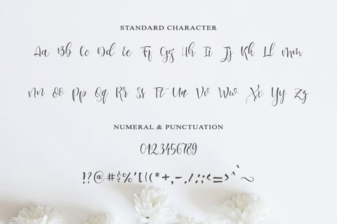 lesley script Font Anastasia 