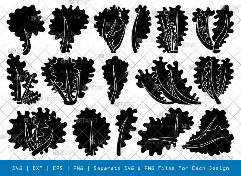 Lettuce Silhouette, Lettuce SVG, Vegetables Svg, Arugula Svg, Lettuce Leaf Svg, Lettuce Bundle, SB00855 SVG ETC Craft 