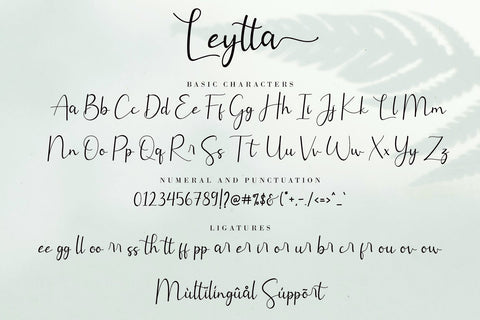 Leytta Font AEN Creative Store 