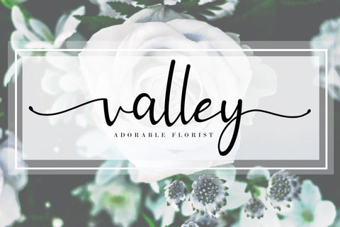 Leytta Font AEN Creative Store 