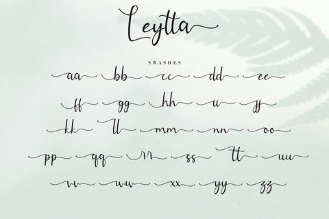 Leytta Font AEN Creative Store 
