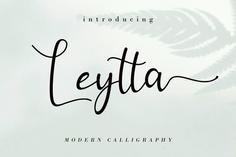 Leytta Font AEN Creative Store 