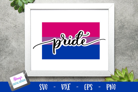 LGBTQ Pride - SVG Pride flag bundle - 13 LGBTQ pride flags SVG Stacy's Digital Designs 