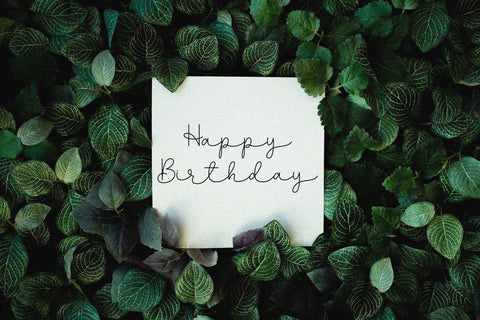 Lifelism Font Jun Creative 