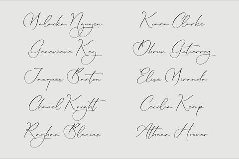 Lillywhite - Beautiful Script Font Storytype Studio 