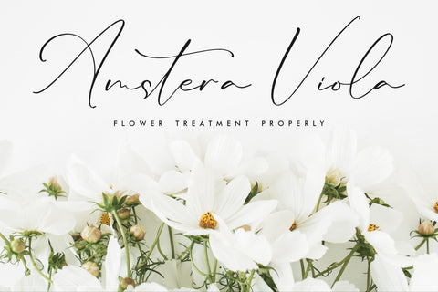 Lillywhite - Beautiful Script Font Storytype Studio 