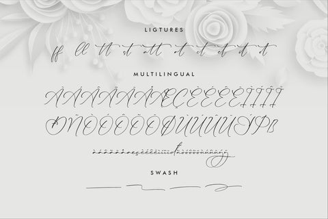 Lillywhite - Beautiful Script Font Storytype Studio 