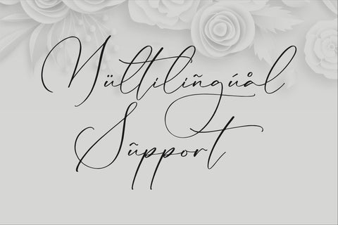 Lillywhite - Beautiful Script Font Storytype Studio 