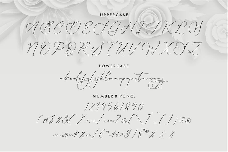 Beautiful Wscript Lillywhite - Beautiful Script - So Fontsy
