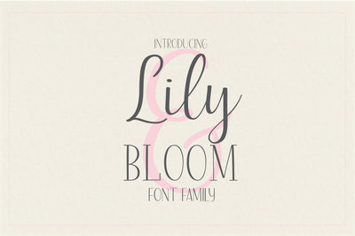 Lily & Bloom Font Sunday Nomad 