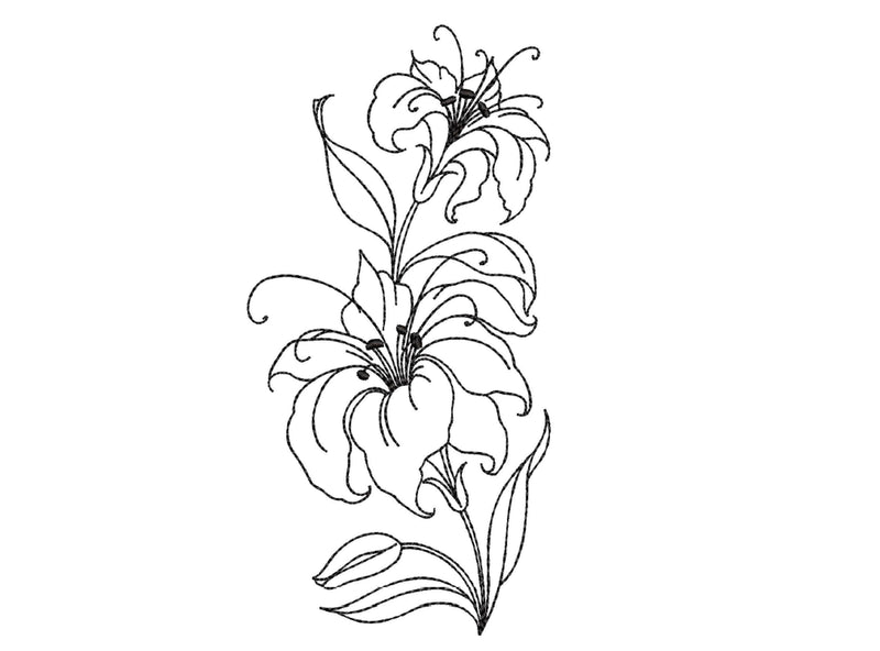 Lily Flower Embroidery design, 6 sizes Embroidery/Applique DESIGNS Nino Nadaraia 
