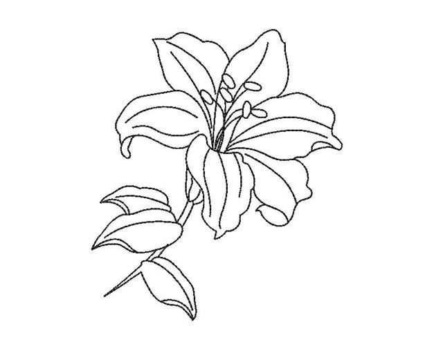 Lily Flower One line Machine Embroidery Design Embroidery/Applique DESIGNS Angie 