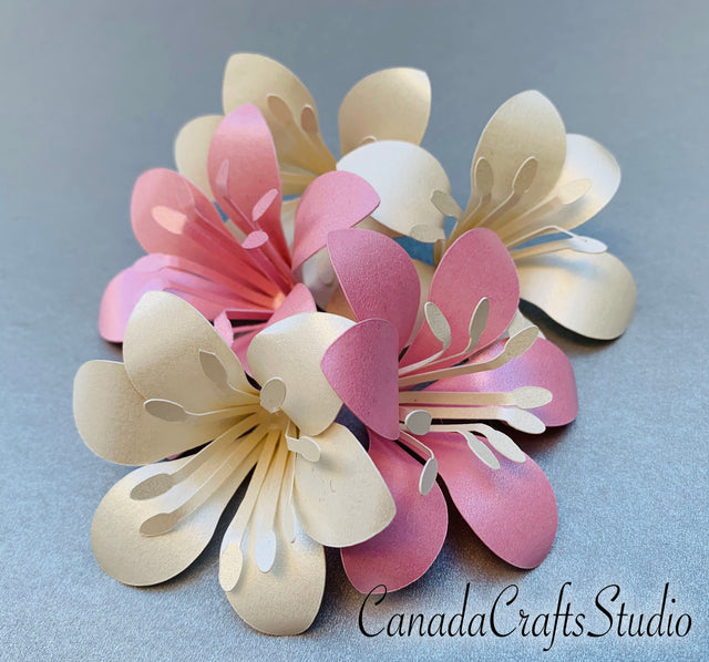 Lily + Video Tutorial SVG CanadaCraftsStudio 