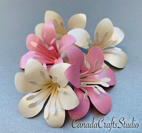 Lily + Video Tutorial SVG CanadaCraftsStudio 