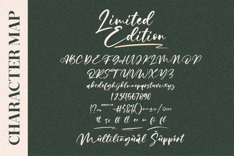 Limited Edition Font Letterena Studios 