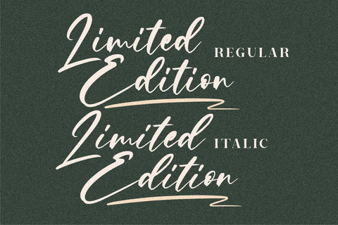 Limited Edition Font Letterena Studios 