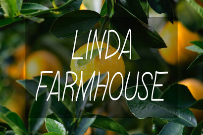 Linda Farmhouse Font Font ampersand 