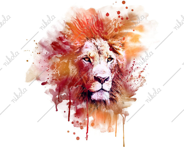 Lion, Watercolor, Sublimation, Clipart, PNG SVG nikola 