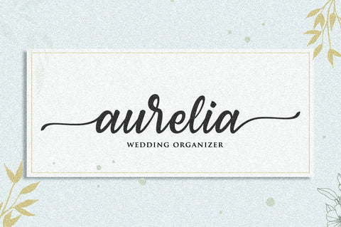 Lional | Retro Script Font Font Rastype 