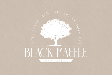 LITERACY Typeface Font Storytype Studio 