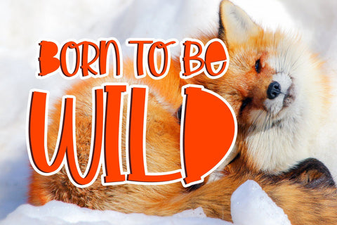 Little Foxie -- Two Styles ALL Caps Font Font Dm Letter Studio 