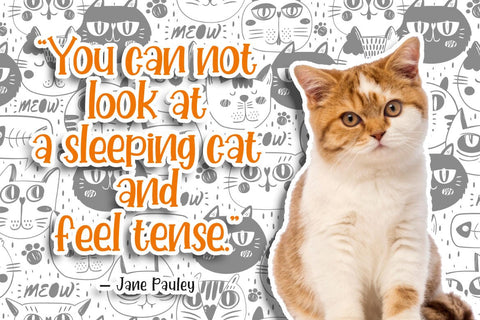 Little Koala Font Madatype Studio 