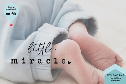 Little Miracle Baby SVG Cut File SVG Lettershapes 