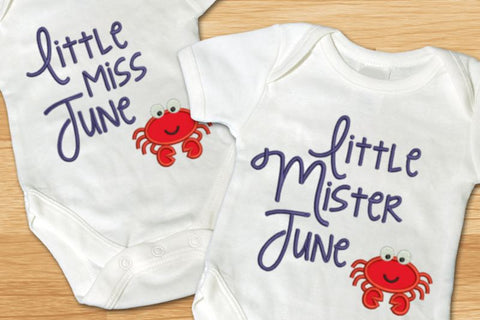 Little Miss and Mister First Year Applique Embroidery Bundle Embroidery/Applique Designed by Geeks 