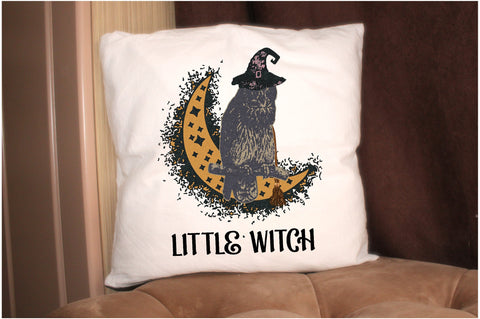 Little Witch Sublimation Sublimation Jagonath Roy 