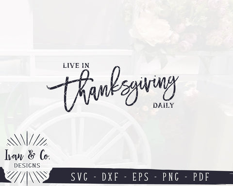 Live In Thanksgiving Daily SVG Files | Thanksgiving SVG | Fall Sign SVG | Commercial Use | Cricut | Silhouette | Digital Cut Files (1047304492) SVG Ivan & Co. Designs 