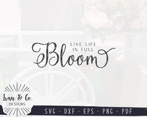 Live Life in Full Bloom SVG Files | Kids Svg | Farmhouse Svg | Spring Svg | Silhouette | Commercial Use | Digital Cut Files (1119524855) SVG Ivan & Co. Designs 