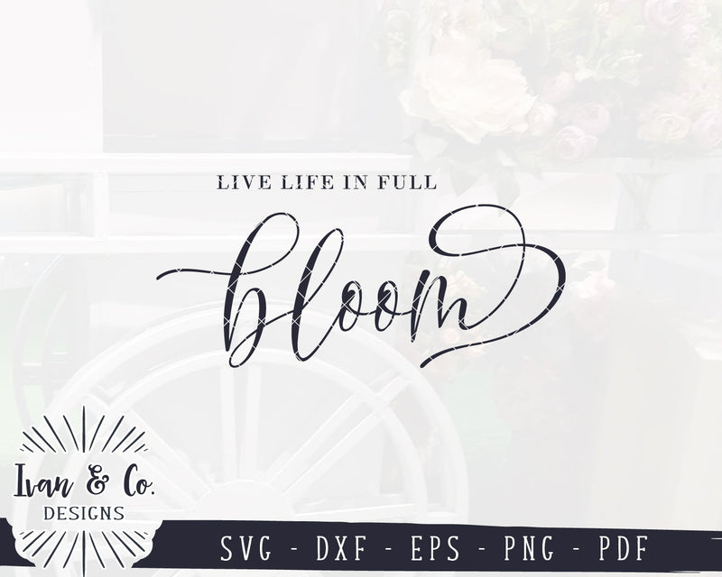 Live Life in Full Bloom SVG Files | Spring Quotes Svg | Hello Spring ...