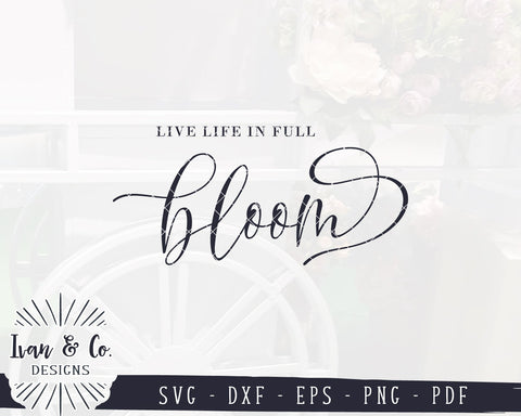 Live Life in Full Bloom SVG Files | Spring Quotes Svg | Hello Spring Svg | Silhouette | Commercial Use | Digital Cut Files (1119518467) SVG Ivan & Co. Designs 