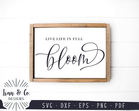 Live Life in Full Bloom SVG Files | Spring Quotes Svg | Hello Spring Svg | Silhouette | Commercial Use | Digital Cut Files (1119518467) SVG Ivan & Co. Designs 