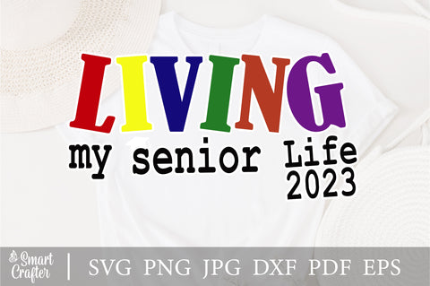 Living my best Life SVG, positive quote svg, inspirational svg, living my best life shirt svg, PNG Files for cricut SVG Fauz 