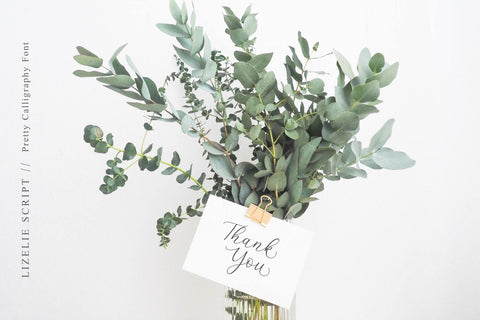 Lizelie Calligraphy font Font Javapep 