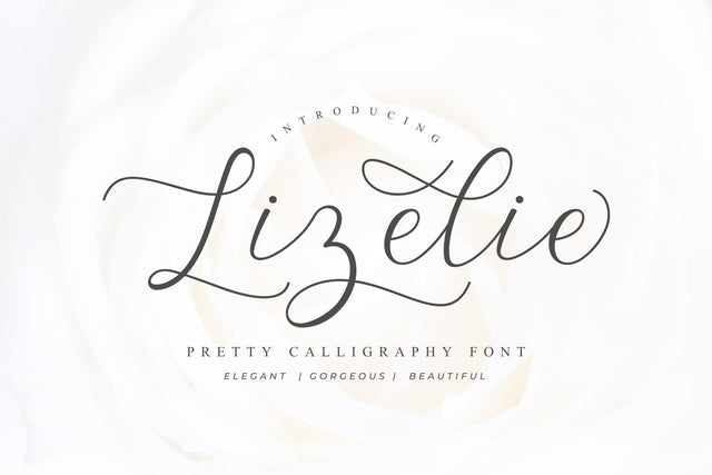 Lizelie Calligraphy font Font Javapep 