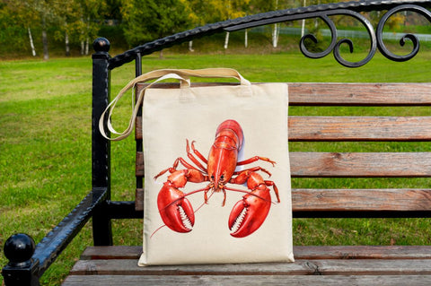 lobster Clipart Bundle Sublimation Regulrcrative 