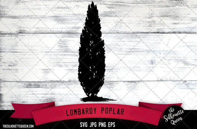 Lombardy Poplar SVG -Vector Art Commercial & Personal Use- Cricut,Silhouette,Cameo,Vinyl Cut SVG Loveleen Kaur 