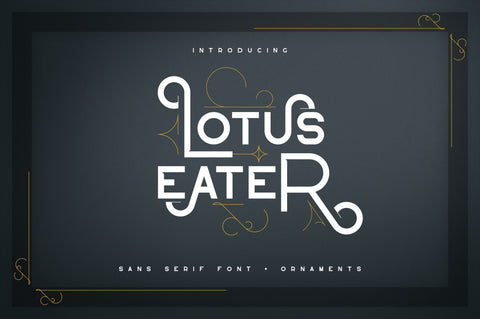 Lotus Eater - sans serif font Font VPcreativeshop 